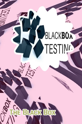 Black box games website