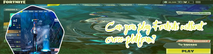 Can you play fortnite cross platform