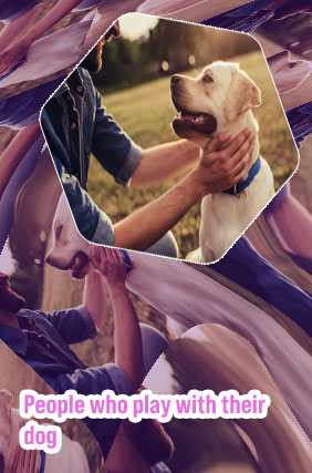Dog play human