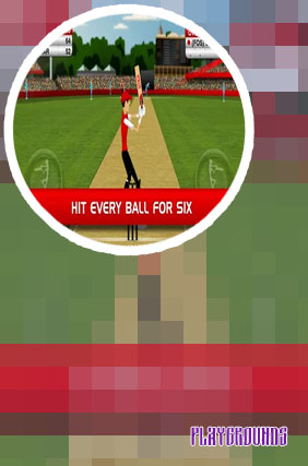 Play stick cricket